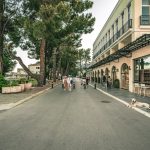 Lively day on a tree-lined street in Budva, Montenegro, with people and shops.